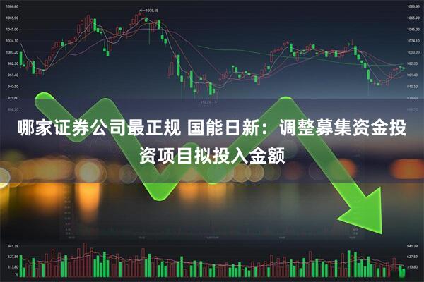 哪家证券公司最正规 国能日新：调整募集资金投资项目拟投入金额