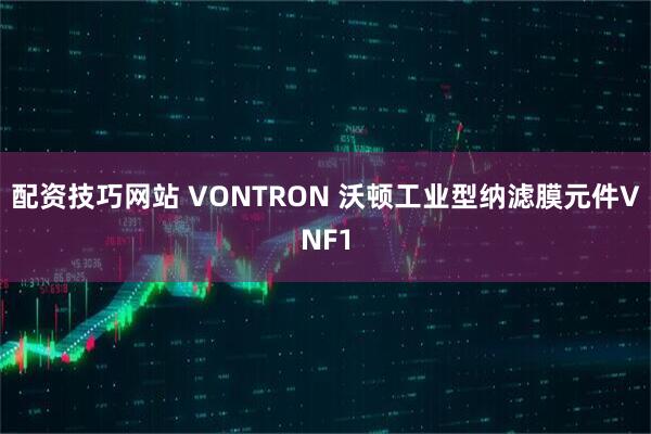 配资技巧网站 VONTRON 沃顿工业型纳滤膜元件VNF1