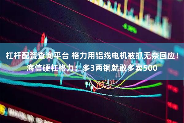 杠杆配资查询平台 格力用铝线电机被抓无奈回应！海信硬杠格力：多3两铜就敢多卖500